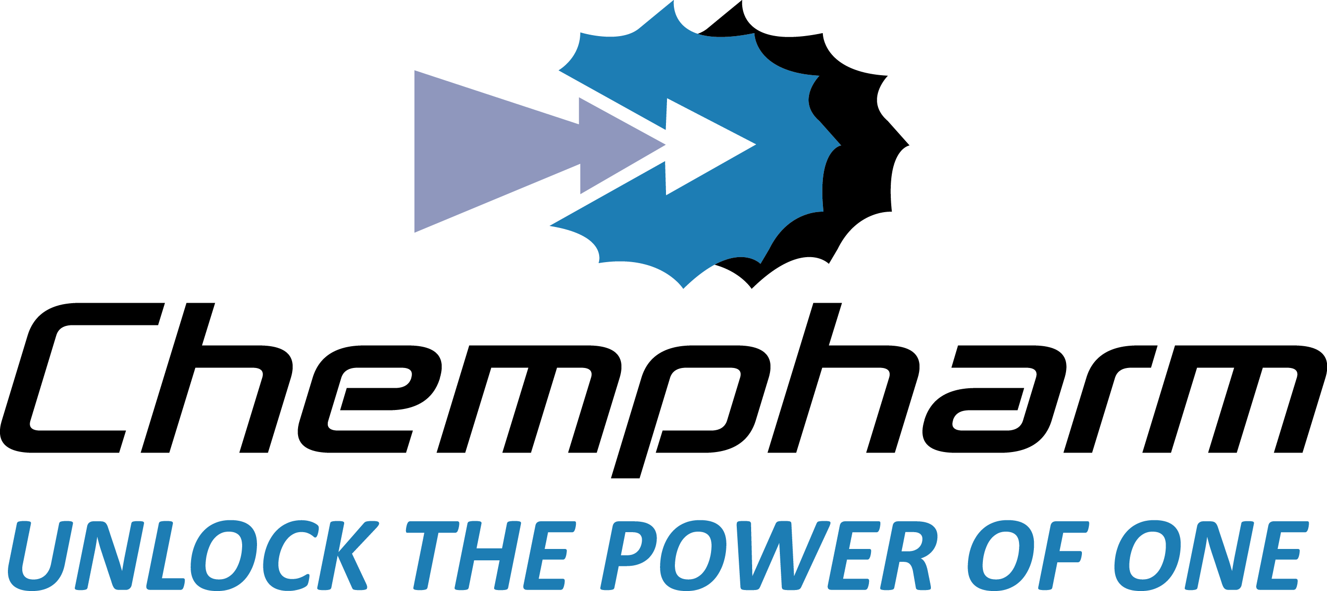 BMS Chempharm Industries India Pvt Ltd